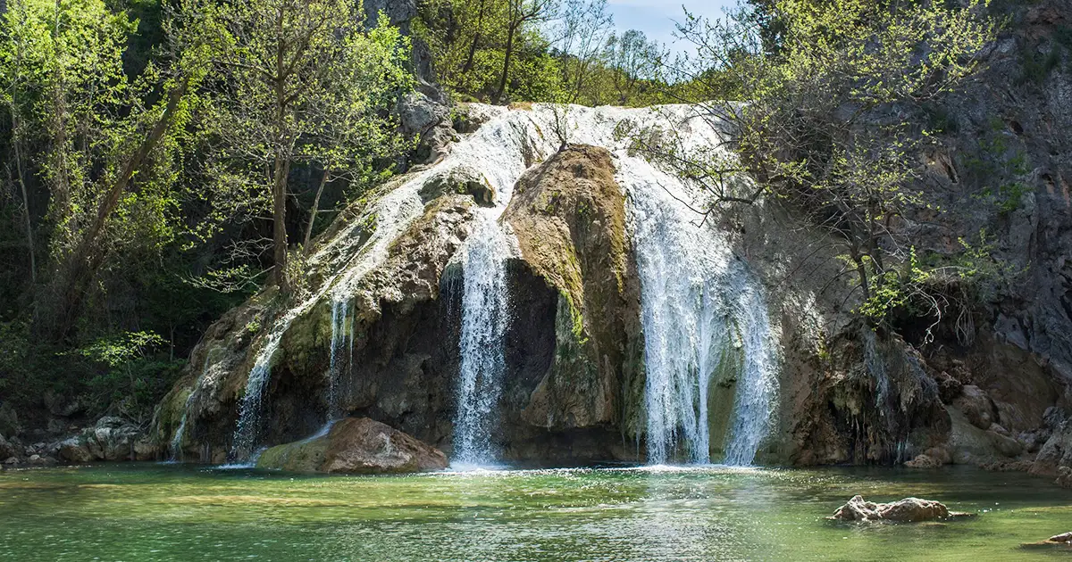 Spring Activities 2025 A